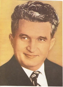 Romania, 1980's, Vintage Press Photo / Newsprint - Nicolae Ceausescu, PCR - Picture 1 of 1