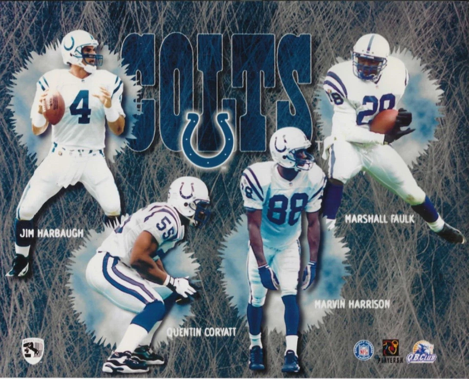 INDIANAPOLIS COLTS - Equipo Collage - Foto 8x10 con licencia oficial Foto 1 de 1