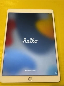 Apple iPad Pro 1st Gen. 64GB Wi-Fi 10.5 in - Silver (Great Condition) AU Stock. - Picture 1 of 6