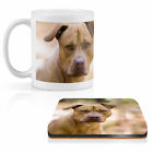 Mug & Square Coaster Set - American Pit Bull Puppy Dog Animals   #8634