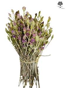 Wild Greek Dried Thyme Bunch 220g(7.8oz) Exceptional Quality - Harvest 2025 - Picture 1 of 5