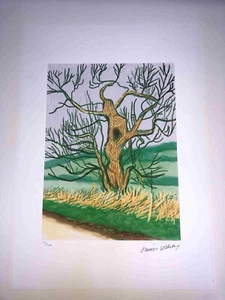 David Hockney Litografia off set cm 50x35 Firma su lastra con certificato - Imagen 1 de 5