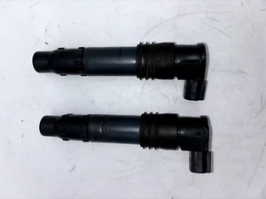 2004 03-09 SUZUKI BURGMAN 650 K3  IGNITION COIL - Bild 1 von 10