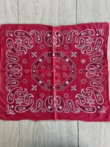 Vintage fast color trunk up bandanna hankie paisley cotton workwear - Picture 1 of 6