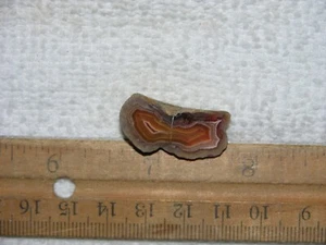 Laguna agate geode cut and polished Mexico 1/2 x 1 inch G190 - Picture 1 of 1