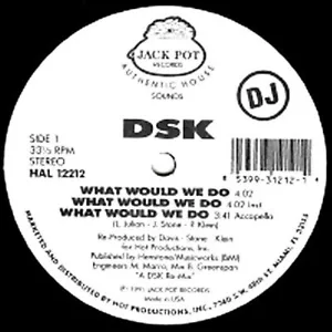 DSK- What Would We Do / Read My Lips Breaks 1991 HAL-12212 Vinyl 12'' - Picture 1 of 1