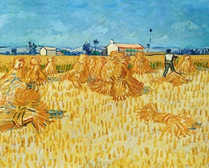 Campo di grano con covoni di Van Gogh, stampa su tela giclée, in varie misure - Foto 1 di 1