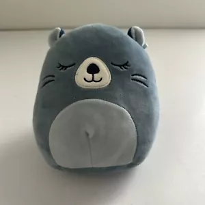 Neu mit Etikett Squishmallow River The Beaver 7,5 Zoll Garden Squad 7-8 Zoll - Bild 1 von 7