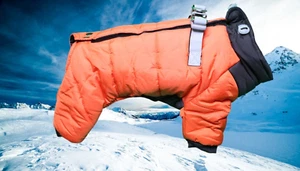 DUOMM Schneeanzug Winter kalt Hundemäntel - winddicht warm Ganzkörpermantel Small - Bild 1 von 9