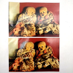 Museo de las Momias de Guanajuato Museum der Mumien 2 Postkarten Zwillinge Babys - Bild 1 von 5