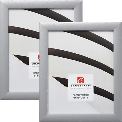Craig Frames Contemporary 1",  Brushed  Silver Picture Frame, Set of Two Frames - Image 1 of 4