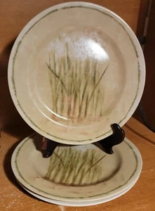 PTS / 222 Fifth NARCISSUS Salad plate set of 3, 8", Stoneware, Floral, Excellent - Picture 1 of 9
