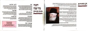 Passover Haggadah by Chabbad Lubavitch Youth HEBREW by Ma'ariv Paper Israel - Picture 1 of 6