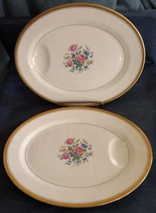 Theodore Haviland ~ New York ~ “Windsor” ~ 14" SERVING PLATTER with WELL - Picture 1 of 7