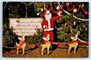 Permanenter Weihnachtsbaum in Weihnachten Florida Postkarte - Bild 1 von 2
