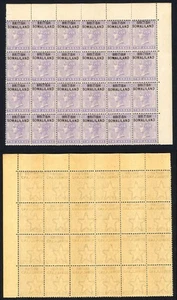 Somalilandia SG3 1903 2a violeta pálido bloque de 24 U/M (goma tonificada) gato 84+++ libras - Imagen 1 de 1