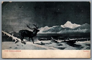Postcard Canada c1908 The Challenge Edwin Henry Landseer Stag Standing In Snow - Bild 1 von 2