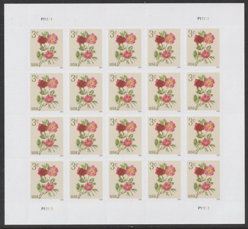 US 5899 Flowers Peonies 3c sheet 20 MNH 2024 - Image 1 of 1