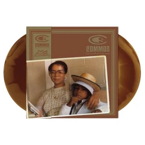 COMMON One Day It'll All Make Sense 2LP + Obi #685/1997 Lauryn Hill De La Soul - Picture 1 of 9