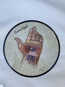 Long-View Falling For You limited edition 7" picture disc vinyl record Mint 2005 - Picture 1 of 3