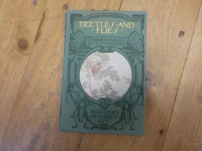 1917 FM DUNCAN & LT DUNCAN WONDERS OF INSECT LIFE BEETLES & FLIES  GD CON. - Image 1 of 4