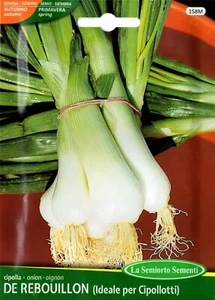 400 Semi / Seeds CIPOLLA De Rebouillon (Ideale per cipollotti) - Foto 1 di 1