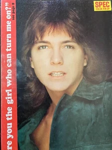 David Cassidy, Michael Jackson, Jackson Five, Double Full Page Vintage Pinup - Picture 1 of 2