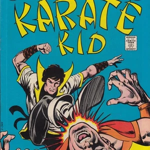 7 Hefte Karate Kid Lot 2 3 5 6 8 9 10 8,0 Sehr guter Erhaltungszustand Losh Bronze DC Comics - Bild 1 von 15