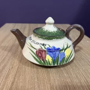TeaPot Torquay Ware Devon Crocus Purple Salcombe - Picture 1 of 5