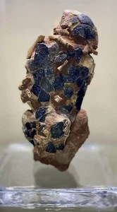 Oviraptor Fossil Baby Skeleton Inside Egg - Picture 1 of 7