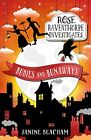 Rubies and Runaways: Book 2 (Rose Raventhorpe Investigates)-Janine Beacham
