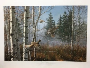David Maass Thundering Out Ruffed Grouse Signed & Numbered Art Print - Picture 1 of 1