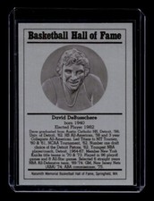 DAVID DEBUSSCHERE 1986-99 BASKETBALL HALL OF FAME METALLIC HOF