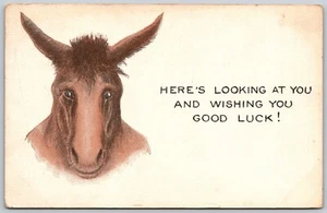 Postcard Here's Looking at You and Wishing You Good Luck Donkey Series Kitchener - Picture 1 of 2
