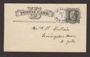 New York : Debruce (#1) 1886 carte postale, crâne fantaisie et os croisés annuler - Photo 1/2