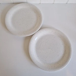 Par/2x Platos de Cena Vintage Blanco y Colorido Estilo Banquete 10" - Imagen 1 de 11
