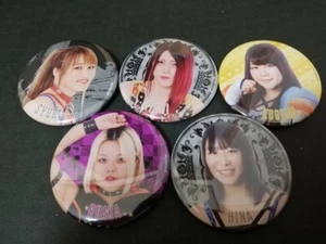 Stardom official tin badge 5 kinds set Syuri Utami Koguma Hina Ruaka - Picture 1 of 2
