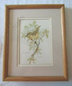 Stampa artistica Goldcrest in Tree opaca e incorniciata di Brant Quay Pubblicazioni Galleria - Foto 1 di 2