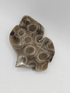 Michigan State Shaped Petoskey Stone Bolokrawatte Slide NUR - Bild 1 von 3