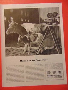 1946 NATIONAL DAIRY CORP Mama's in the MOO-Vies! foto kunstdruck anzeige - Bild 1 von 1