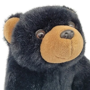Starfoot Bears "Molasses" 9" Plush Rocky Mountain National Park Black Bear TAGS - Picture 1 of 12