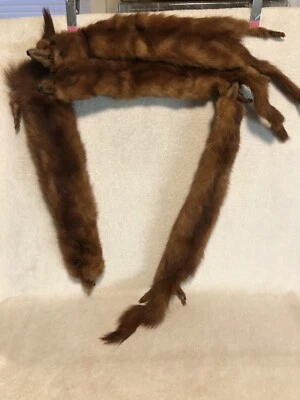 Collar de piel de visón vintage de 4  Foto 1 de 4