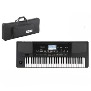KORG Professional Arranger Pa300 Genuine Soft Case Set SC-PA600/900 from Japan - Picture 1 of 1