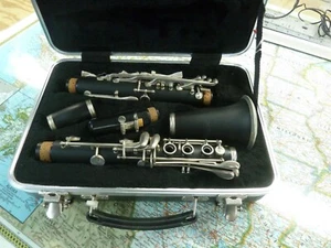 Palatino Clarinet with Hard Carrying Case - Picture 1 of 2