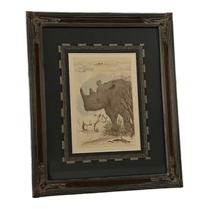 Rhinoceros Framed Print Robert Grace Hollister CA J3796 Rhino 23.5" x 19.5" - Picture 1 of 12