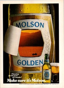 VINTAGE 1980 MOLSON GOLDEN BEER PRINT AD - Picture 1 of 1