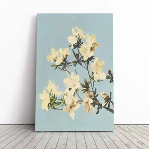 Japanische Azaleen Blumen asiatische Ogawa Kazumasa Leinwand Wandkunst Druck Bild - Bild 1 von 7