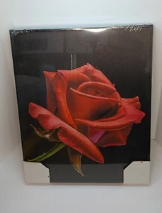 NEU Gerahmte Leinwand Wandbild Schwarz mit Roter Rose 20"x16" - Bild 1 von 4