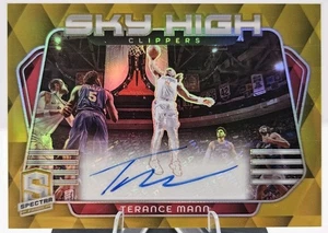 Terance Mann 2023 Panini Spectra Sky High Signatures Gold /10《Slab Ready》Nets 🔥 - Picture 1 of 6