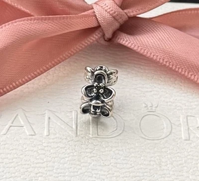 Original Pandora Charm, Spacer „Wandas Garten“ 925 silber #790861CZK - Bild 1 von 3